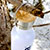 Yunika bamboo bottle real 3